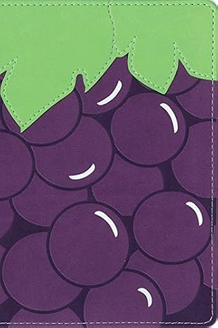 Fruit of the Spirit Bible – NIV by Zondervan