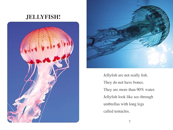 Sea Creatures: Level 2 (I Can Read! / Made By God) by Zondervan