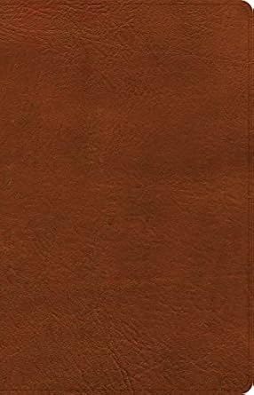 NASB Large Print Personal Size Reference Bible, Burnt Sienna LeatherTouch, Indexed by Holman Bible Publishers