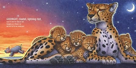 Fiona, It's Bedtime (A Fiona the Hippo Book)  by Zondervan