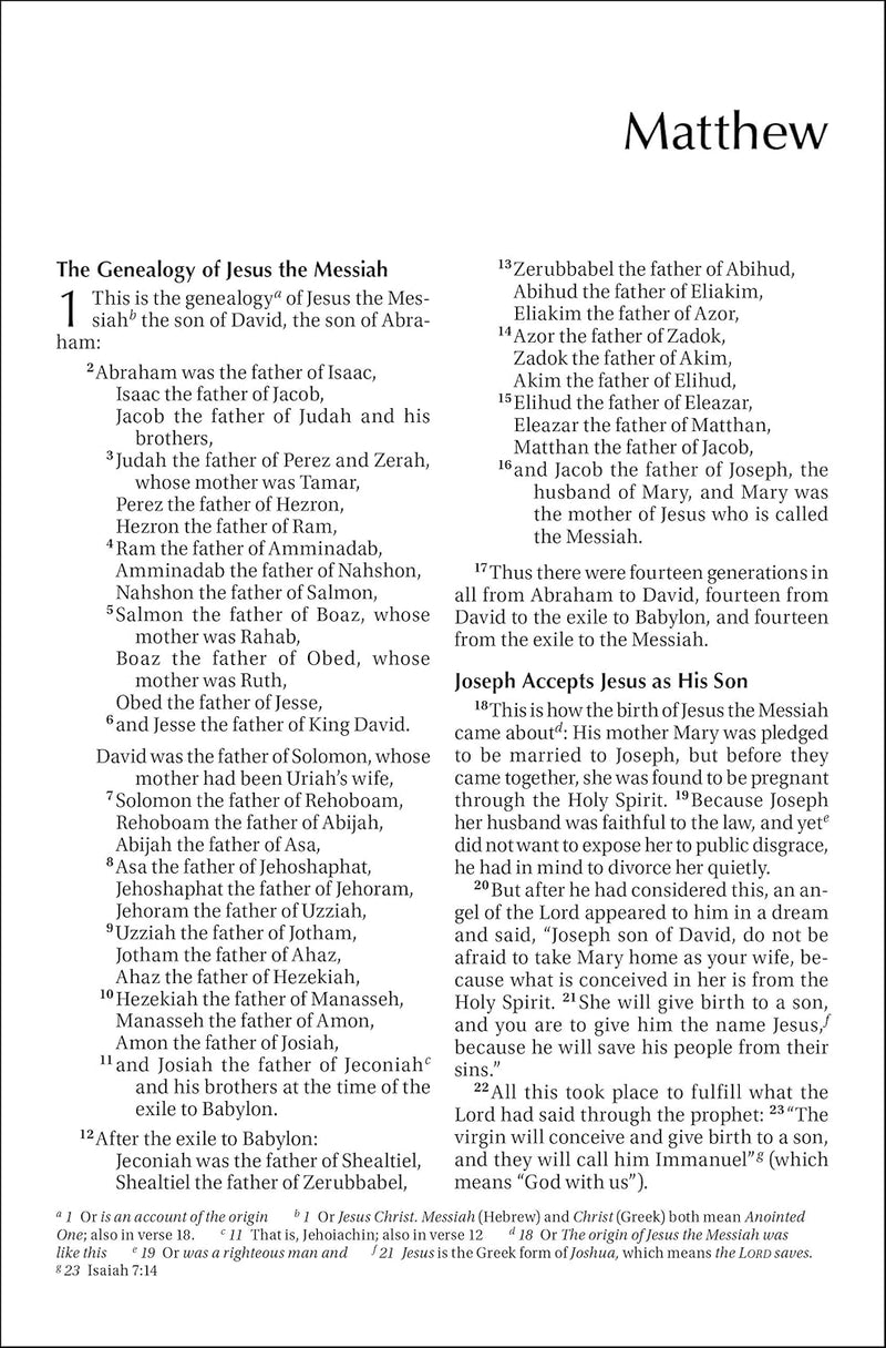 NIV Outreach New Testament – Large Print Edition by Zondervan