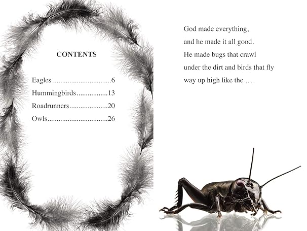 Our Feathered Friends: Level 2 (I Can Read! / Made By God) by Zondervan