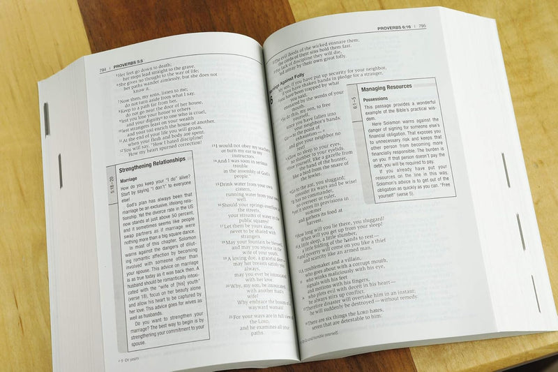 Holy Bible: New International Version, Revealing God and How You Fit Into His Plan by Zondervan