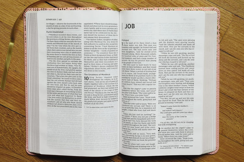 NIV Bible for Teens, Thinline Edition by Zondervan