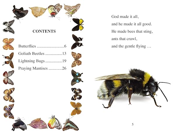 Big Bugs, Little Bugs by Zonderkidz