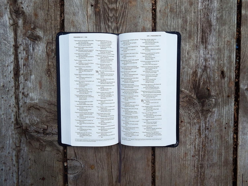 NIV Pocket Thinline Bible by Zondervan