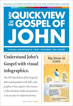 NIV QuickView of the Gospel of John: John and 1 John by Zondervan