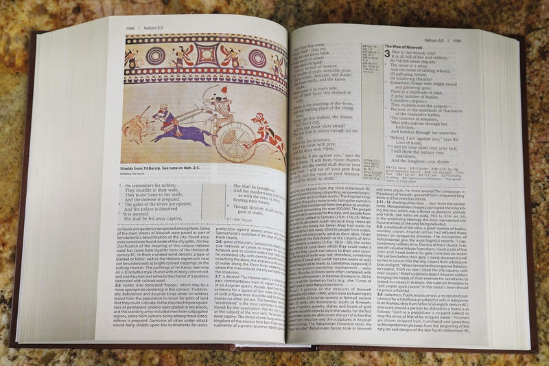 NKJV, Cultural Backgrounds Study Bible, Red Letter Edition by Craig S. Keener