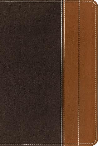 NIV Essentials Study Bible by Zondervan