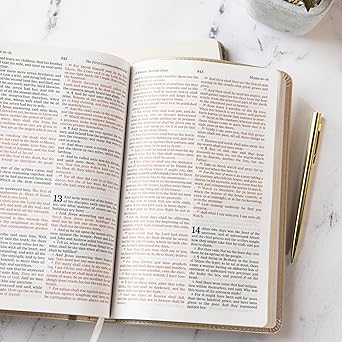 KJV Thinline Bibel Gold Leathertouch Edition von Holman