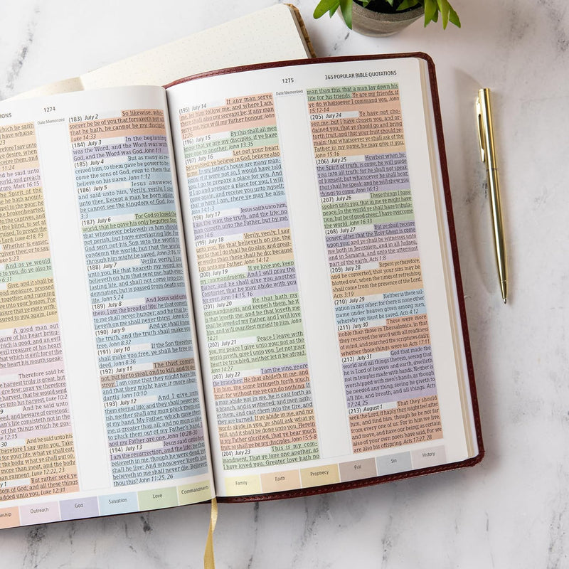 KJV Rainbow Study Bible – Burgundy Leather touch by Holman Bible Publishers