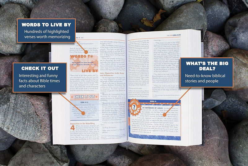 NIV Boys Bible by Zondervan