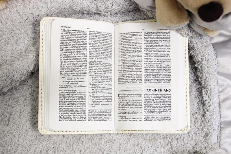 NIV Tiny Testament Bible, New Testament, Leathersoft, Blue, Comfort Print by Zondervan Publishing