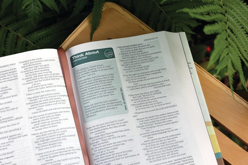 Rooted: The NIV Bible for Men by Livingstone Corporation