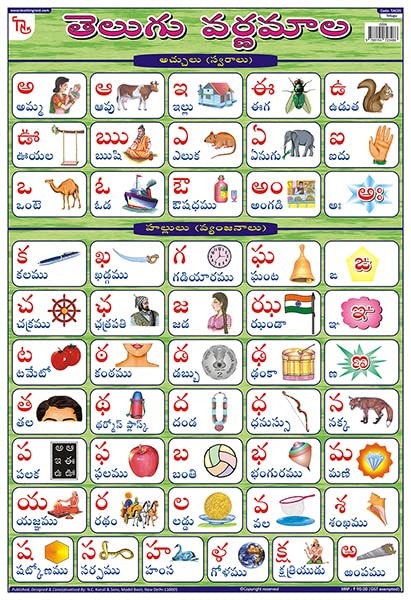 TAC05 | TEACHINGNEST Telugu Alphabet Chart by TeachingNest