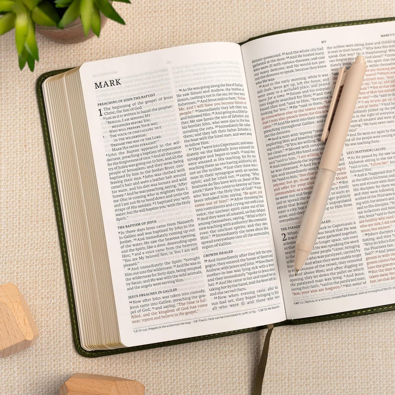 NASB-Bibel in persönlicher Größe, Olive Leathertouch von Holman Bible Publishers