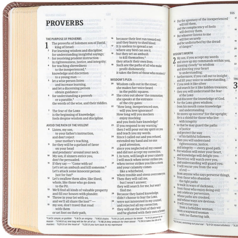 CSB On-The-Go Bible, Personal Size, Rose Gold LeatherTouch by CSB Bibles