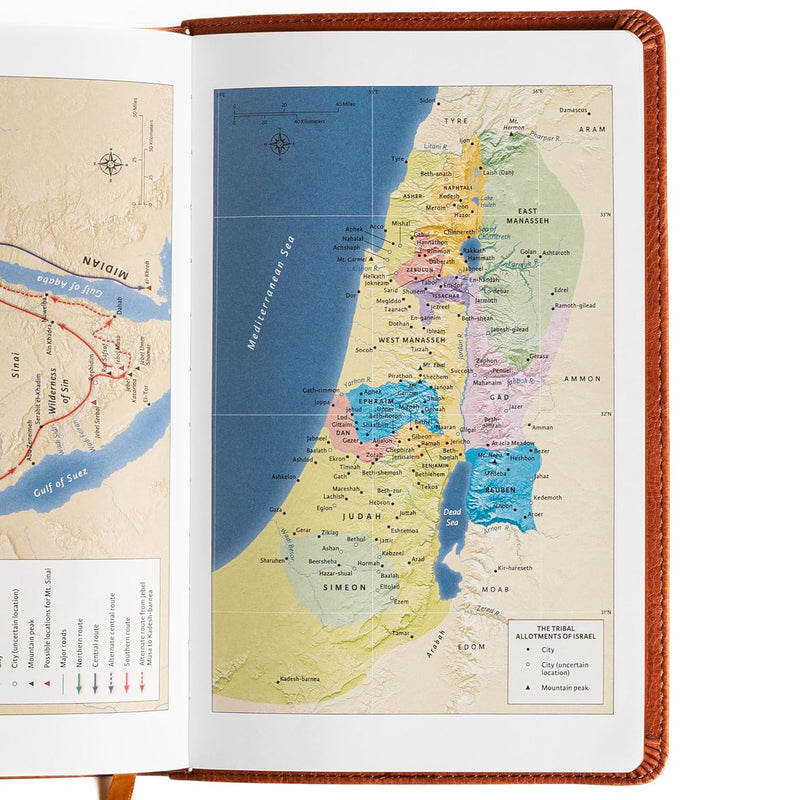 New American Standard Bible (NASB), 2020 Edition  by Holman Bible Publishers