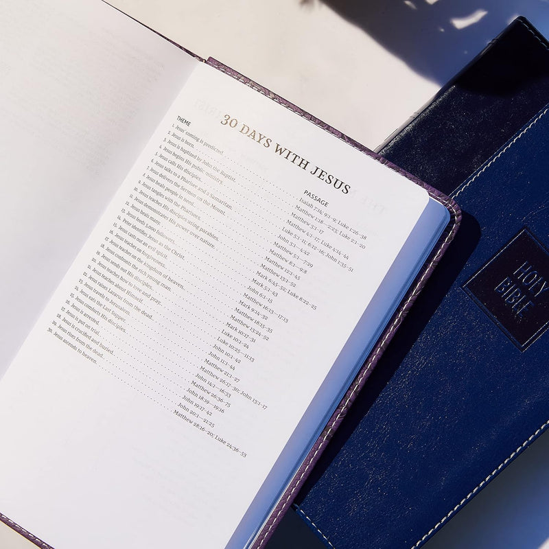 NKJV, Deluxe Gift Bible, Leathersoft, Gray, Red Letter, Comfort Print: Holy Bible, New King James Version  by Thomas Nelson