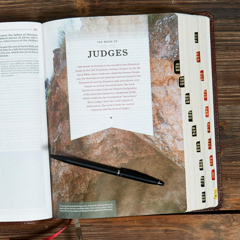 KJV Study Bible, Full-Color, Brown Bonded Leather, Indexed by Holman Bible Publishers