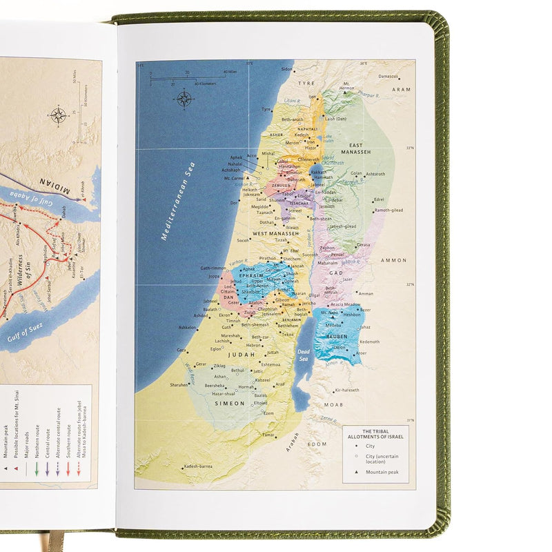 New American Standard Bible (NASB), 2020 Edition by Holman Bible Publishers