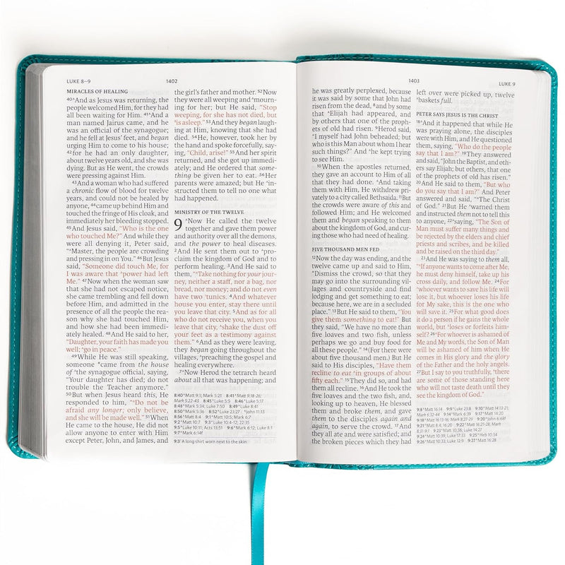 New American Standard Bible (NASB), 2020 Edition by Holman Bible Publishers