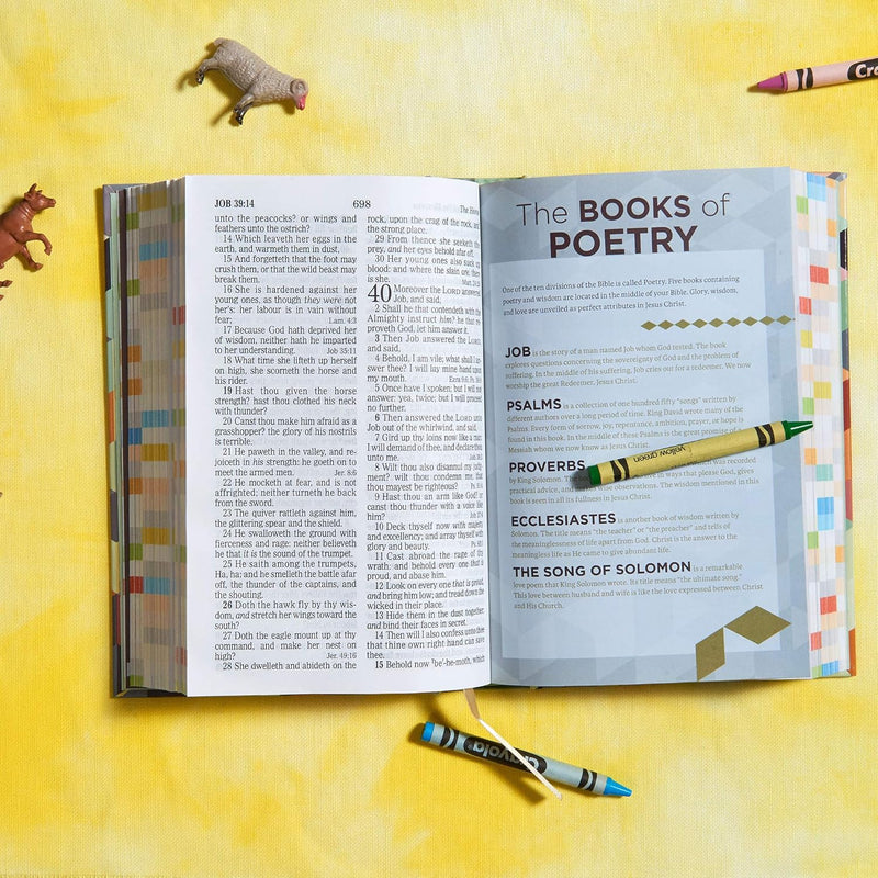 KJV-Kinderbibel, Hardcover von Holman Bible Publishers