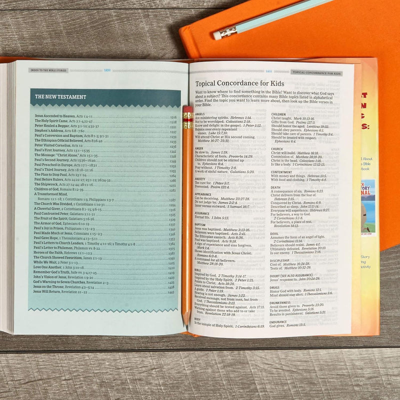 KJV One Big Story Bible by Holman Bible Publishers