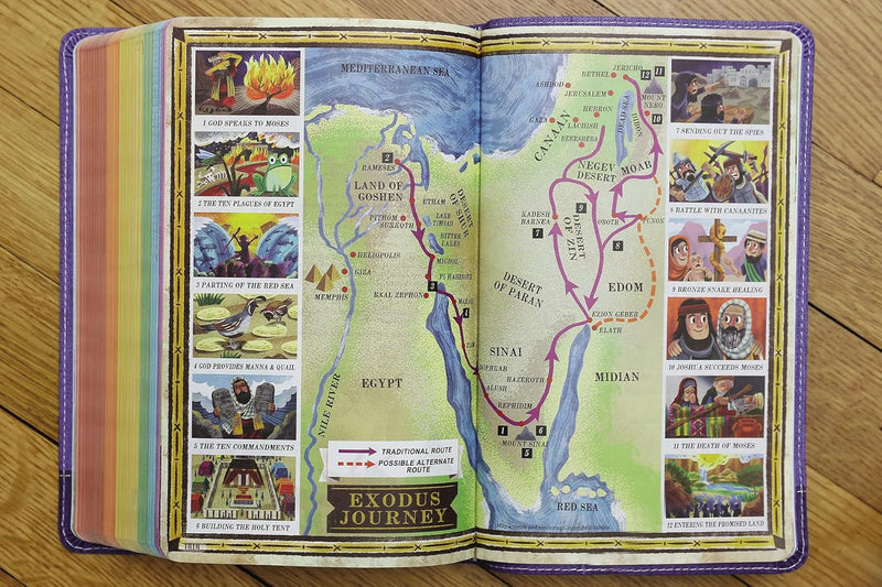 NIrV, Seek and Explore Holy Bible by Zondervan