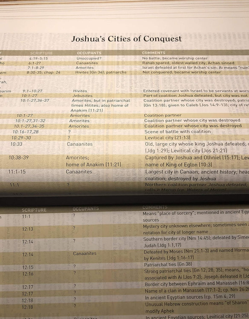 HCSB Large Print Study Bible, Hardcover by Holman Bible Staff