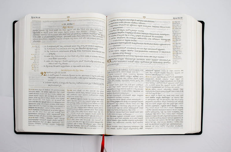 Lifeway Telugu Study Bible by LifeWay India Publishing Pvt Ltd