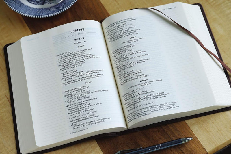 NIV Journal the Word Bible by Zondervan