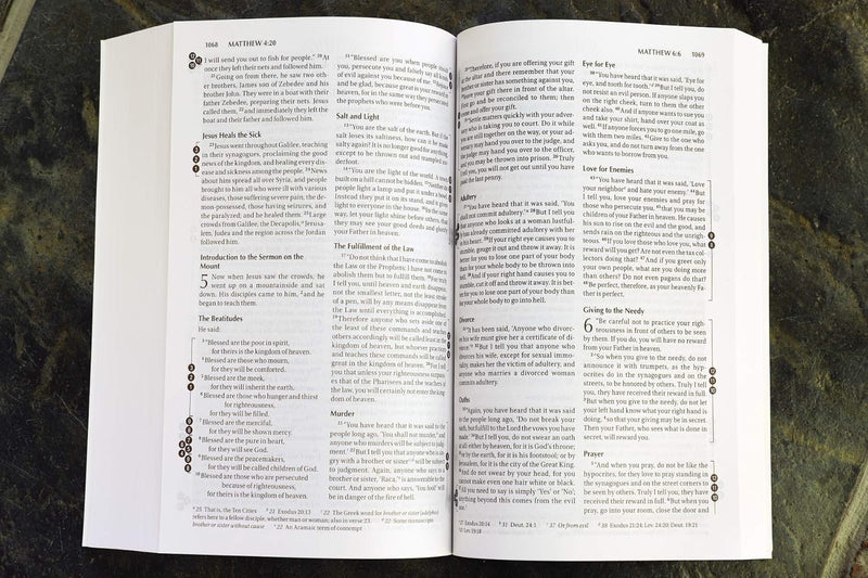 NIV Recovery Devotional Bible by Zondervan Publishing House