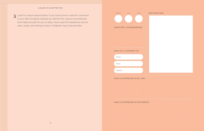 A Guide to a Better You: 20 Transformative Questions to Deepen Your Faith and Change Your Life by Joe Carter