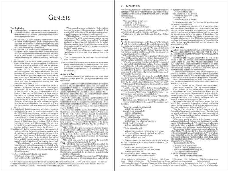 NIV, Economy Bible, Paperback: Accurate. Readable. Clear. by Zondervan