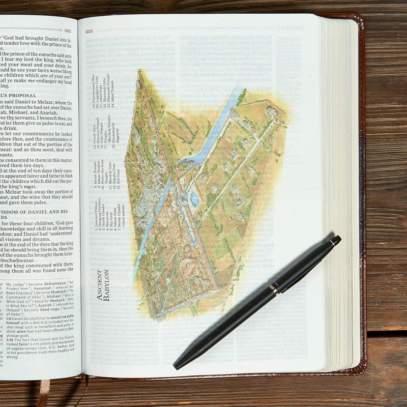 KJV Study Bible, Full-Color, Saddle Brown LeatherTouch by Holman Bible Publishers