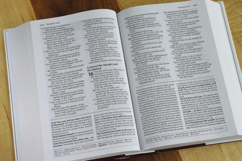 Amplified Study Bible, Hardcover by Zondervan