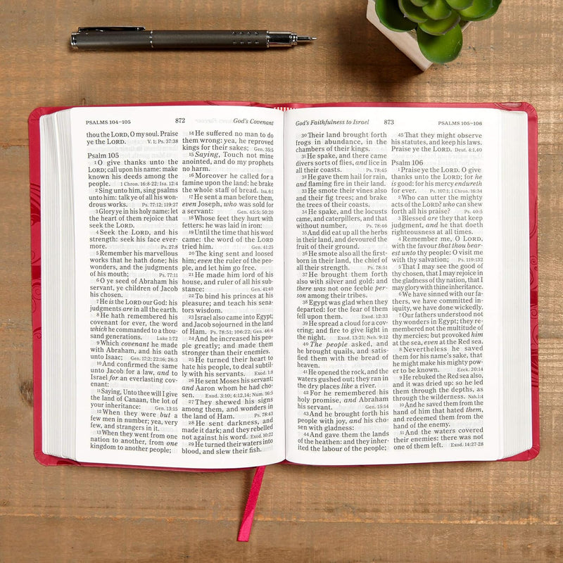 KJV Large Print Personal Size Reference Bible, Pink LeatherTouch by Holman Bible Staff