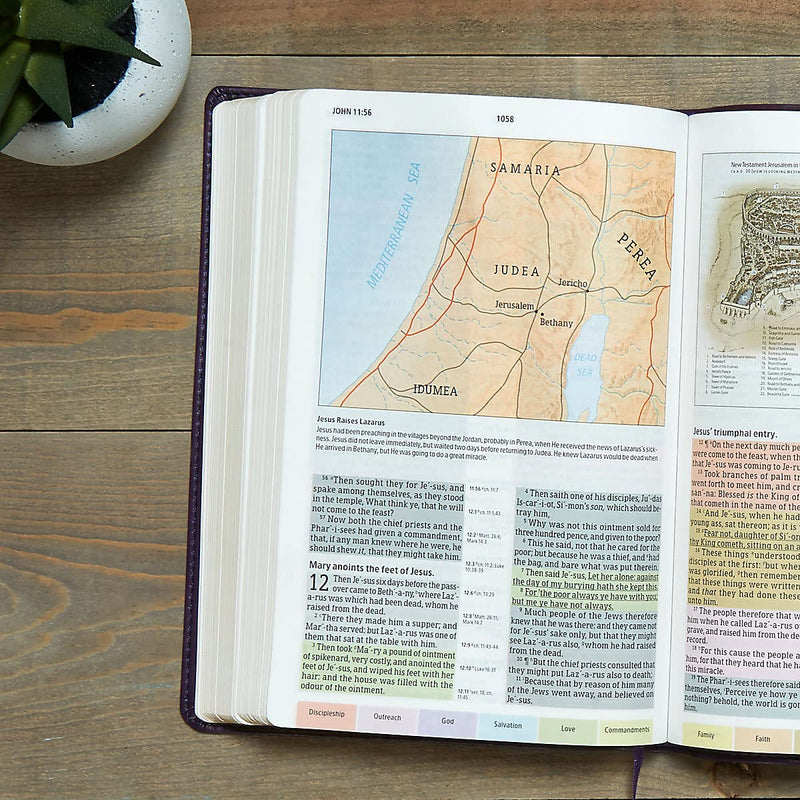 KJV Rainbow Study Bible, Purple LeatherTouch by Holman Bible Publishers