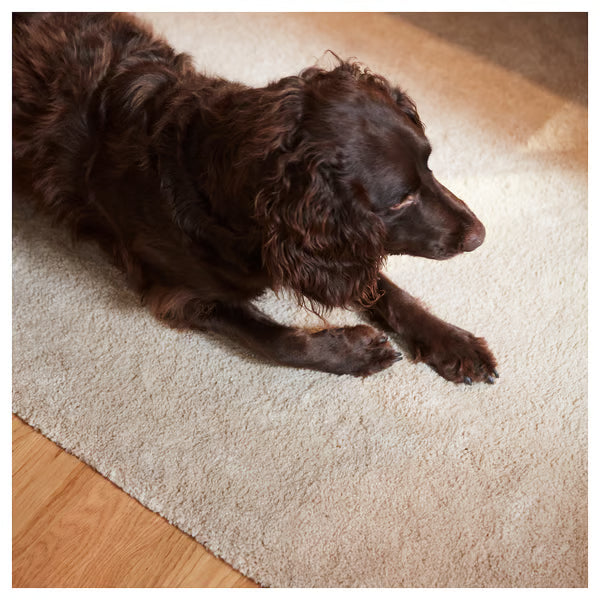 IKEA New STOENSE Rug, low pile, off-white, 130 cm (4 ' 3 ")