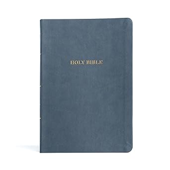 KJV Large Print Thin line Bible, Value Edition – Slate Leather touch by Holman Bible Publishers