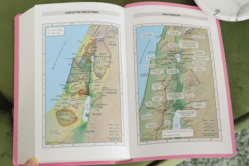 NIV Gift and Award Bible – Leather-Look, Pink, Red Letter Edition  by Zondervan