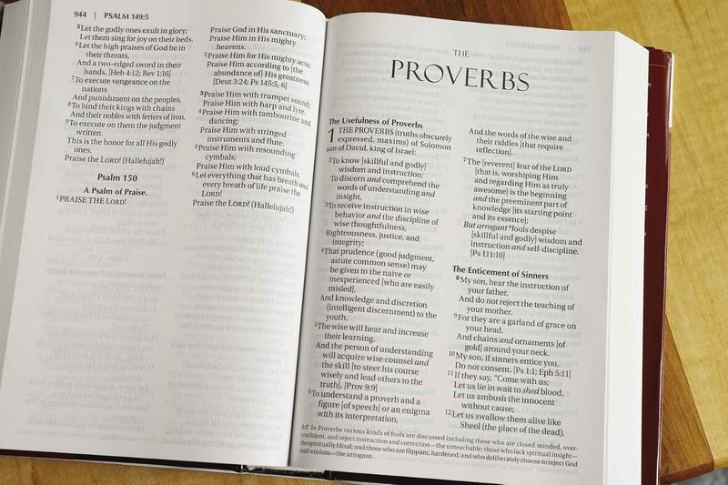 Amplified Holy Bible (Large Print Hardcover Edition)  by Zondervan