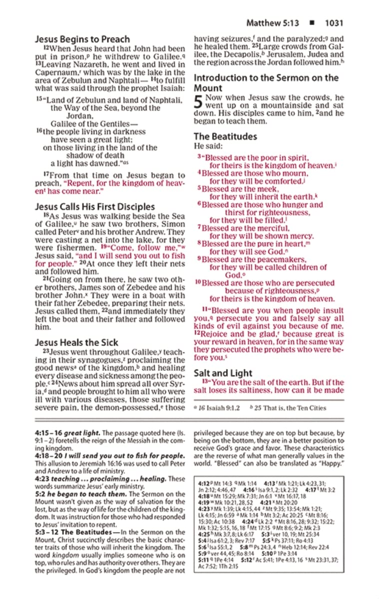 NIV Basic Study Bible – Economy Edition by Zondervan