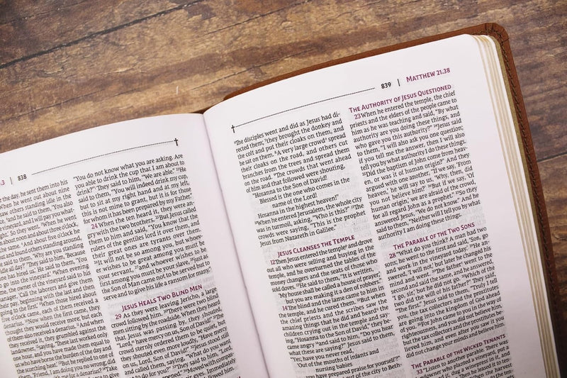 NRSVue, Holy Bible (Leathersoft, Brown, Comfort Print) by Zondervan