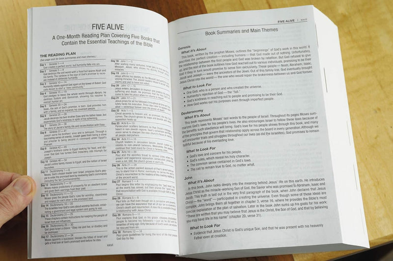 Holy Bible: New International Version, Revealing God and How You Fit Into His Plan by Zondervan