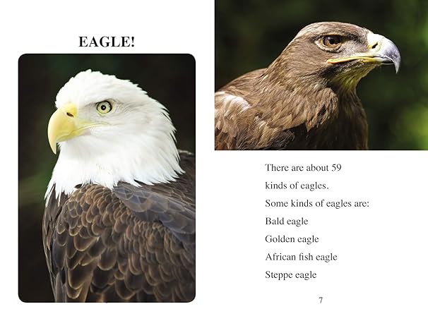 Our Feathered Friends: Level 2 (I Can Read! / Made By God) by Zondervan