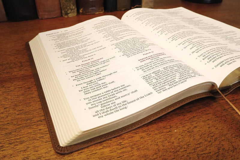 NRSVue Holy Bible with Apocrypha by Zondervan