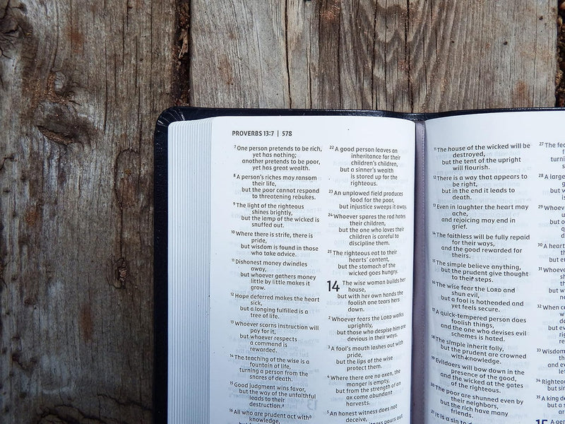 NIV Pocket Thinline Bible by Zondervan
