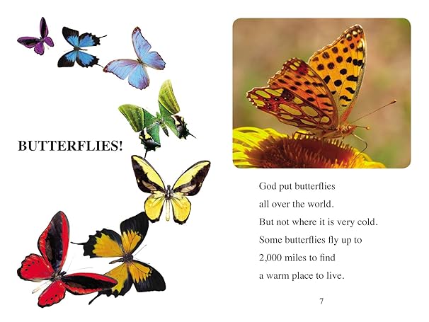 Big Bugs, Little Bugs by Zonderkidz